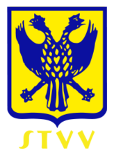 Stayen wall paintings logo