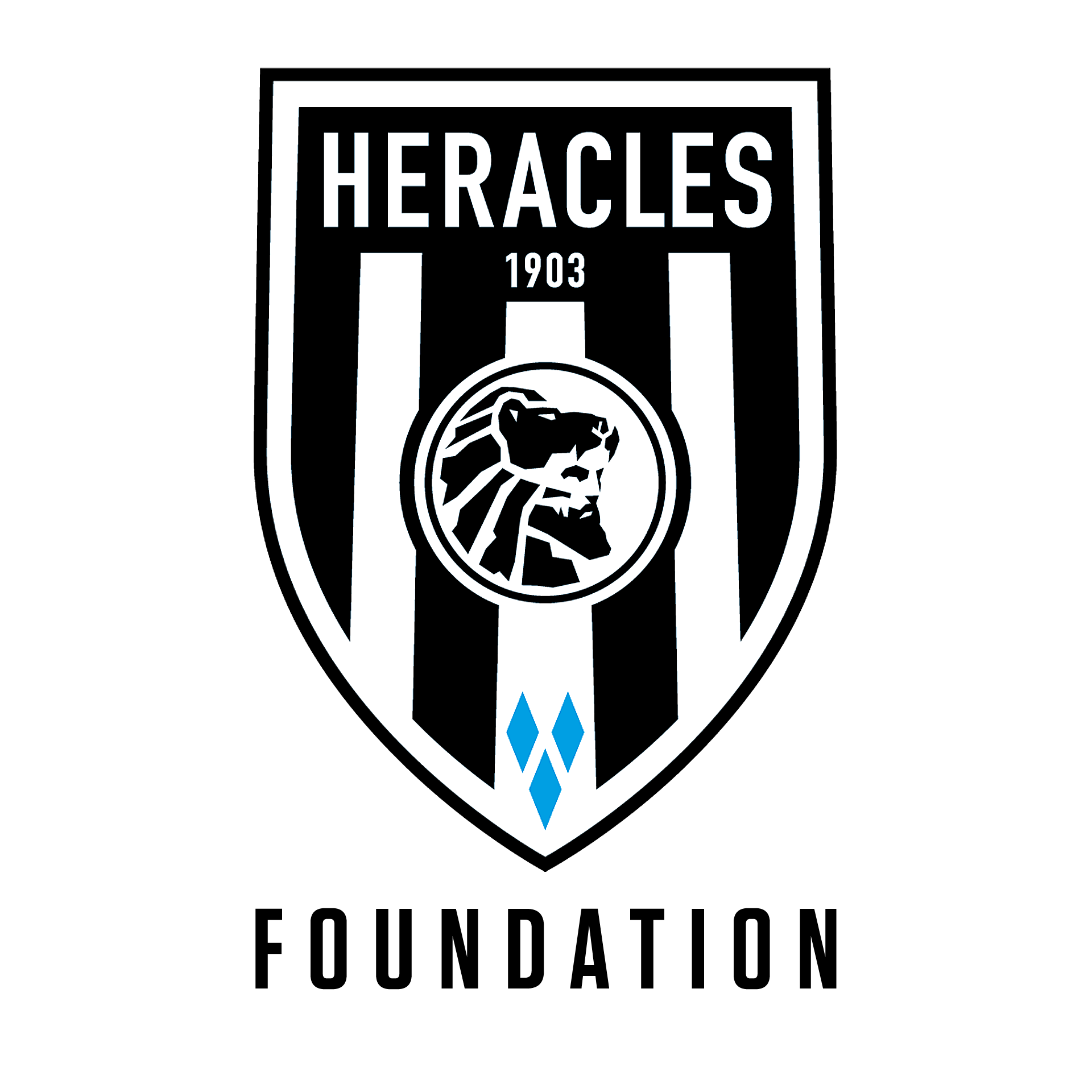 Heracles Almelo Foundation logo