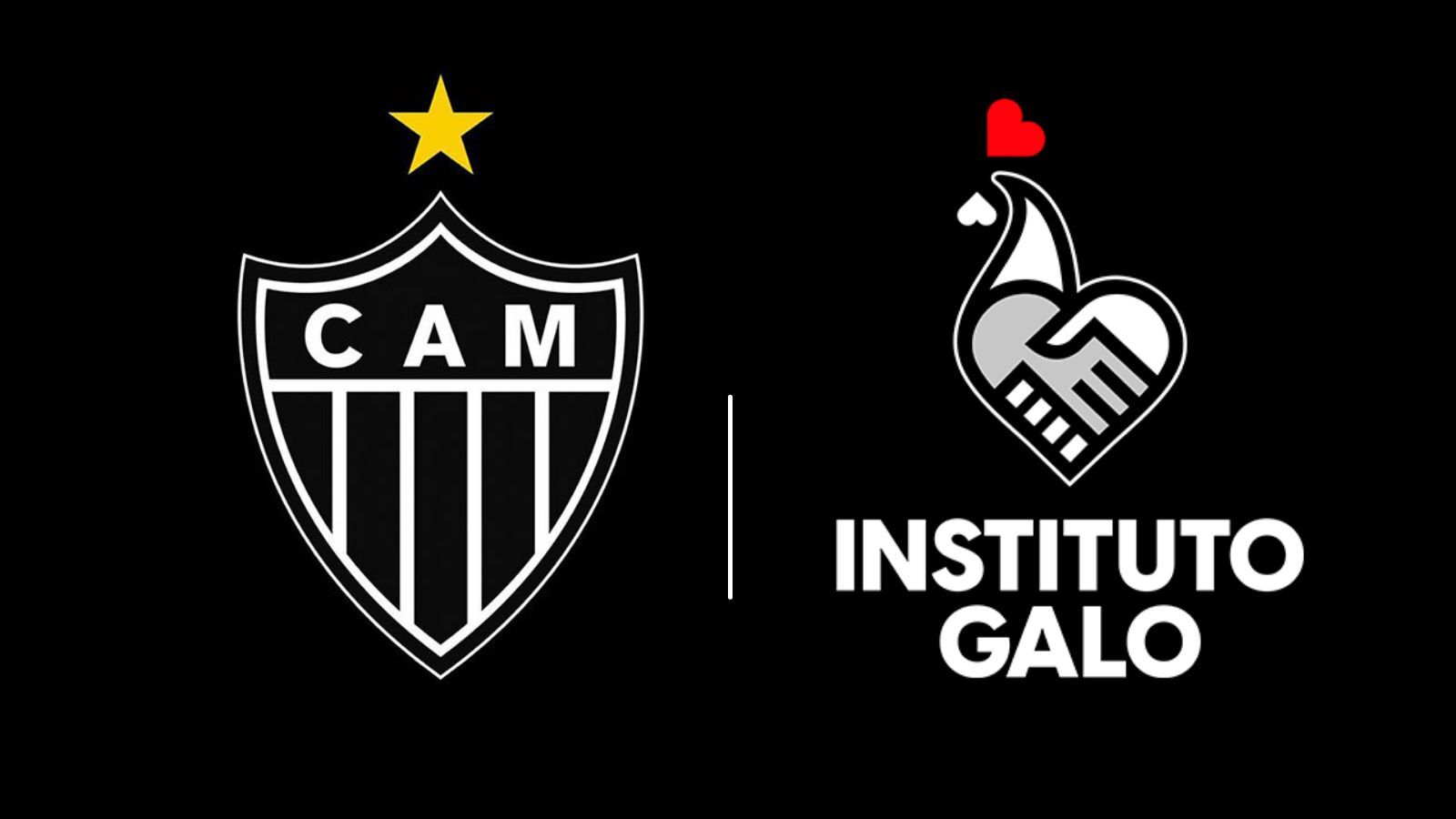 Instituto Galo logo