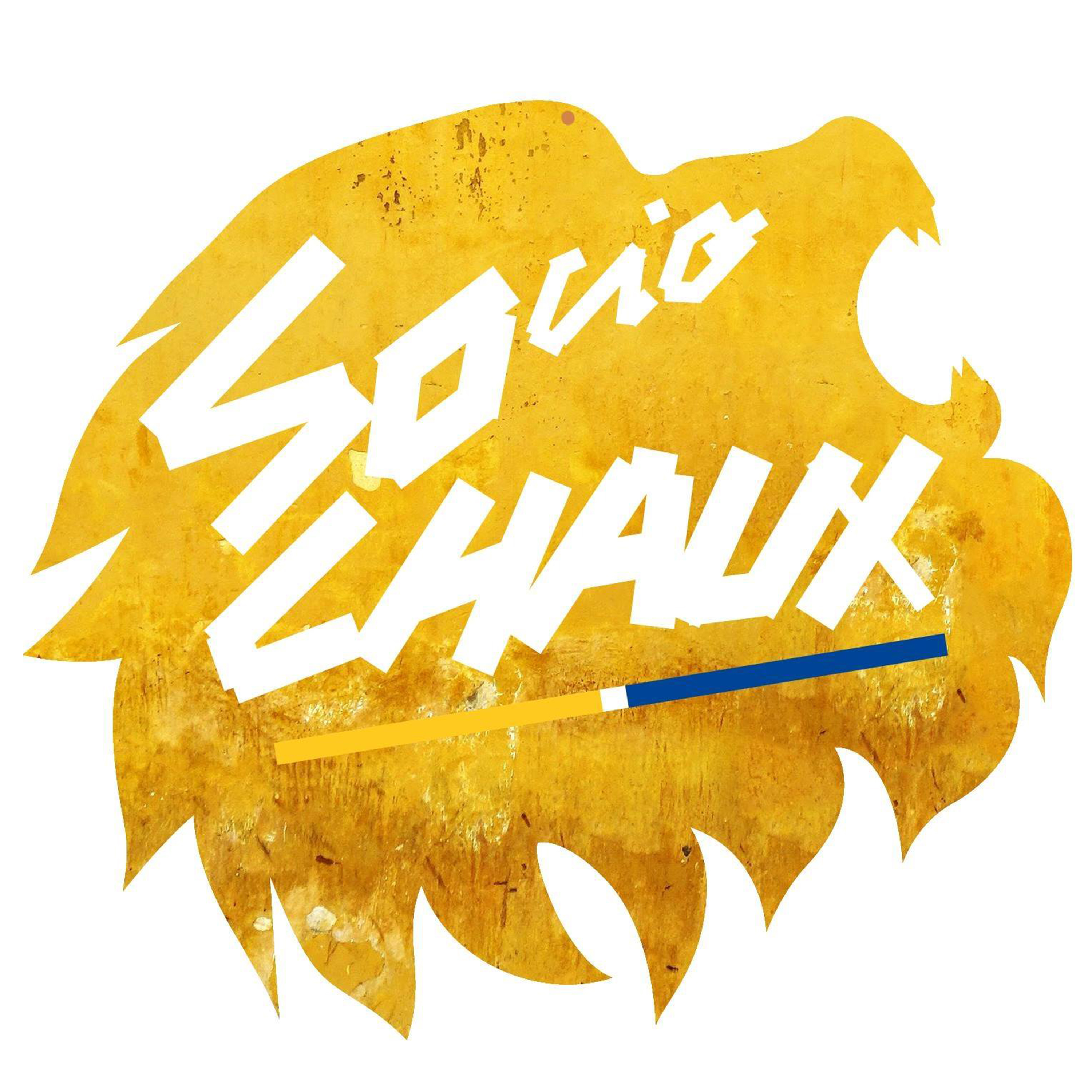 Sociosochaux logo