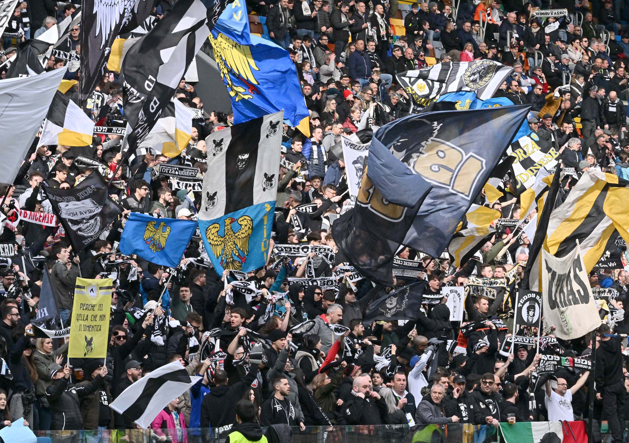 Udinese Calcio header image
