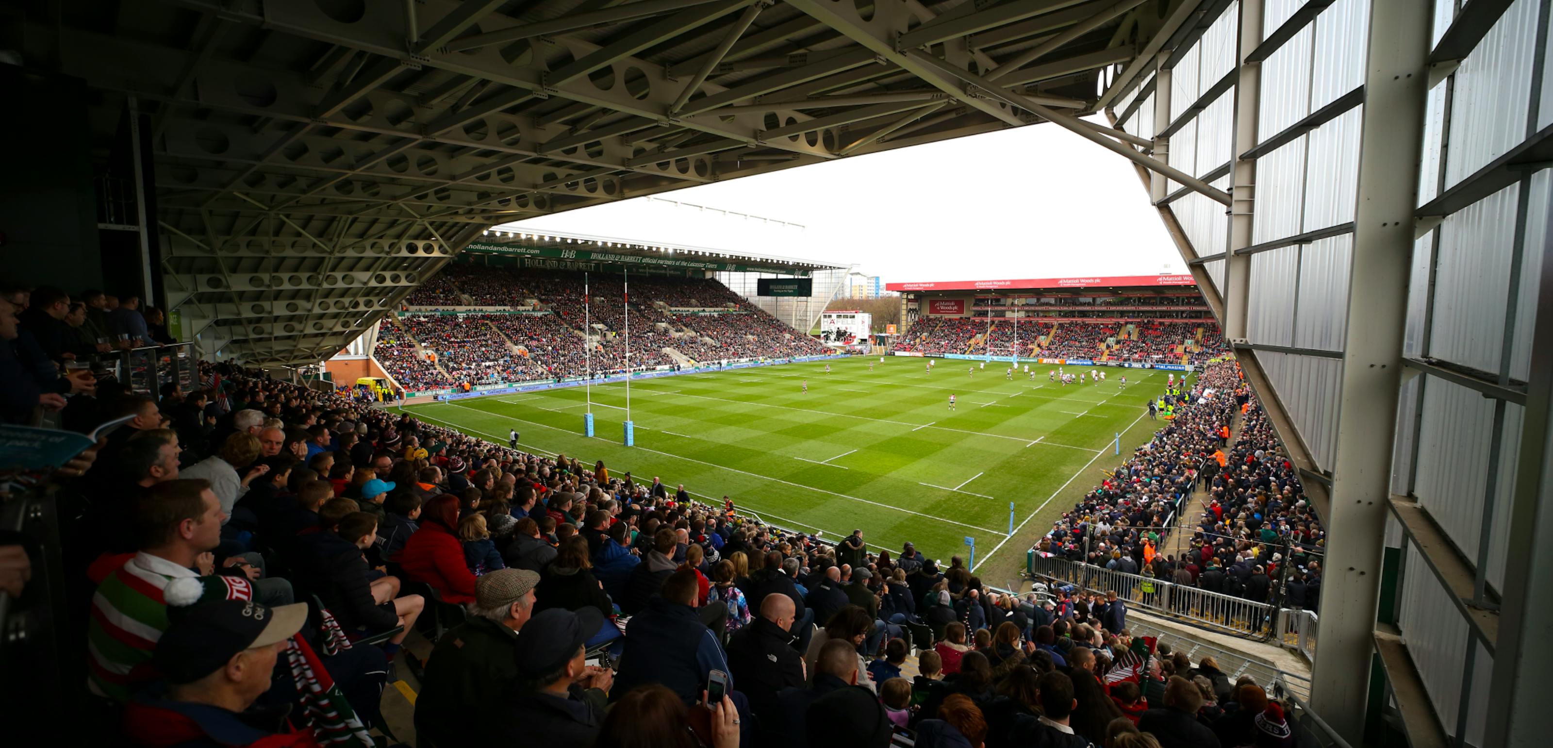 Leicester Tigers header image