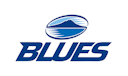 Blues - Hurricanes logo