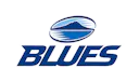 Blues - Hurricanes logo