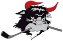 Rødovre Mighty Bulls - Aalborg Pirates logo