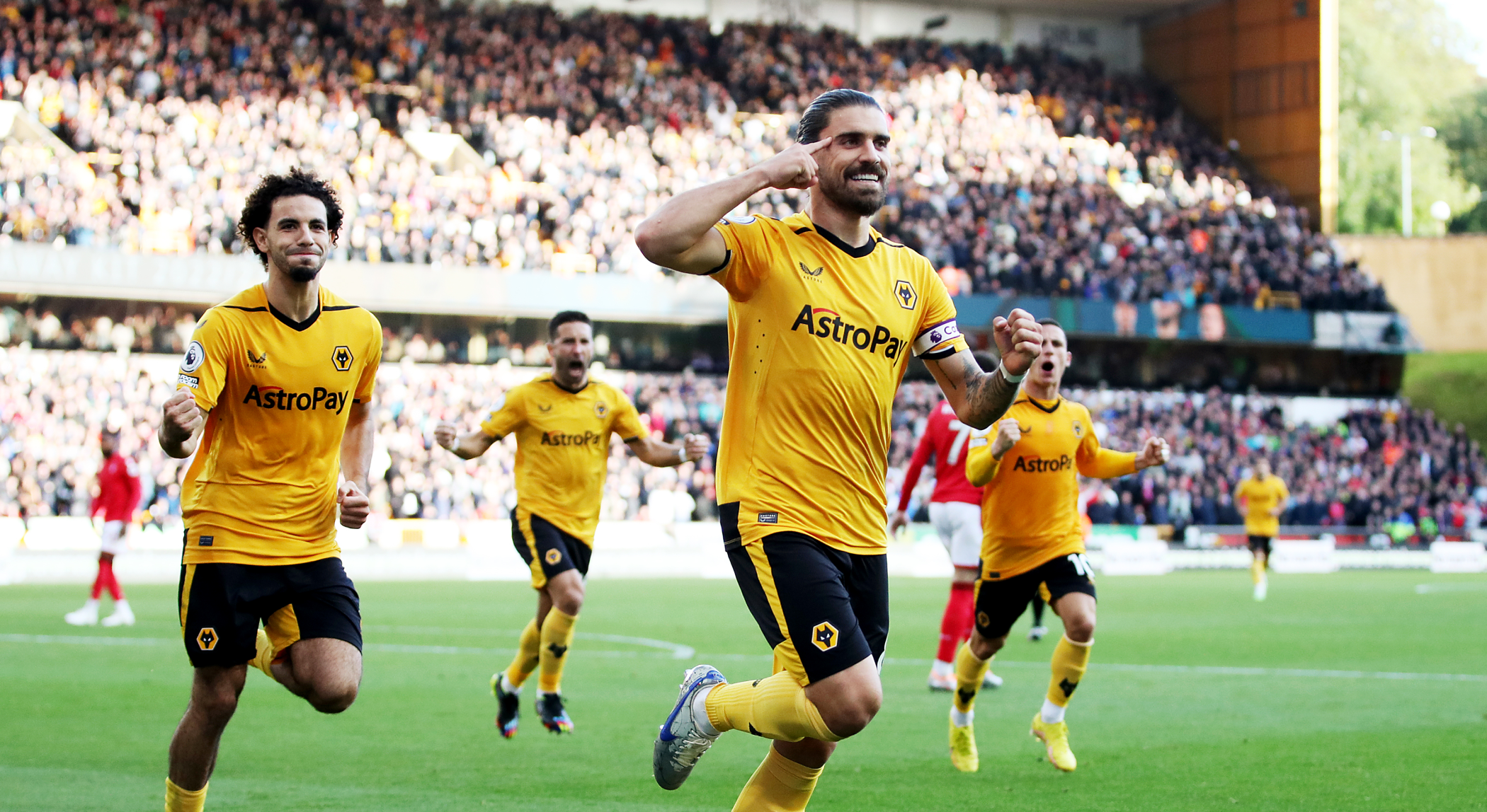Wolverhampton Wanderers - Leicester City header image