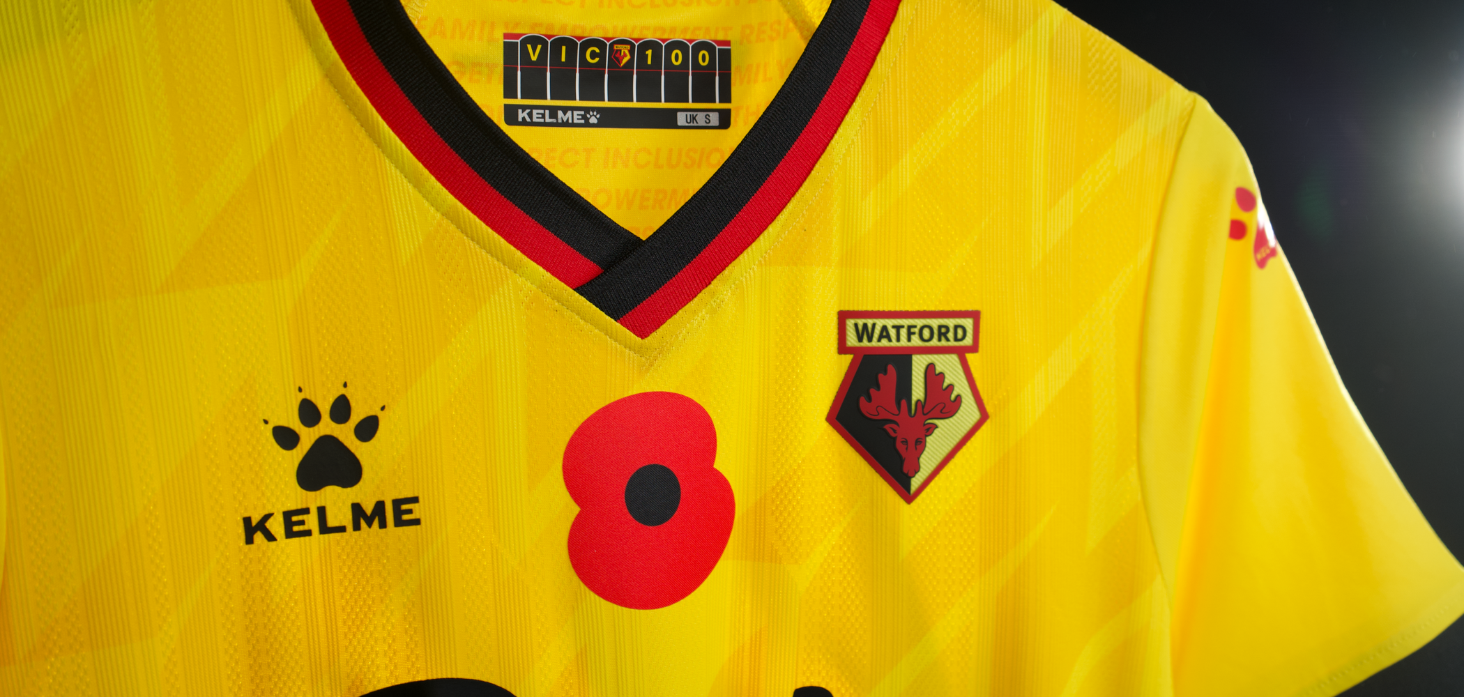 event banner for Bristol City - Watford