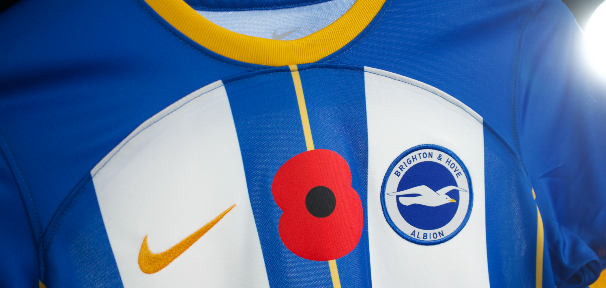 event banner for Brighton & Hove Albion - Aston Villa