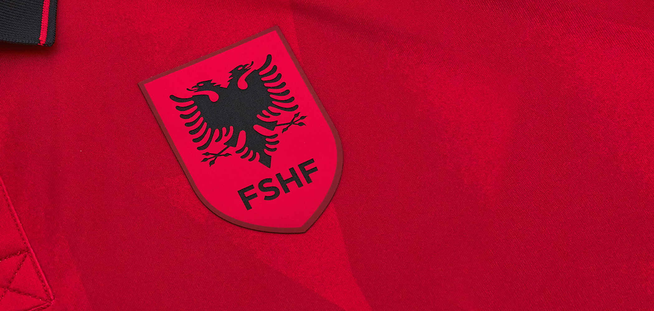 Poland - Albania header image