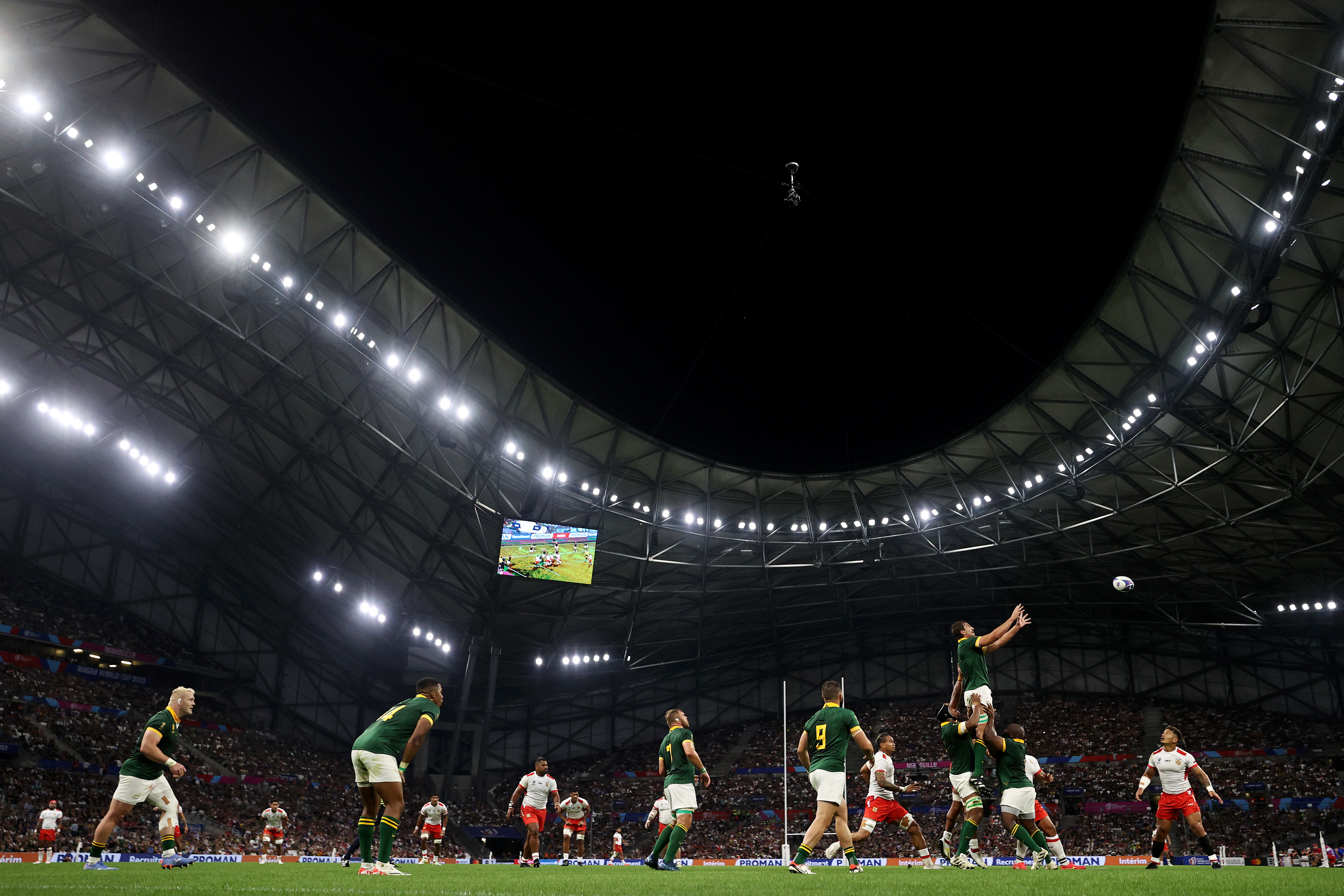 South Africa v Tonga header image