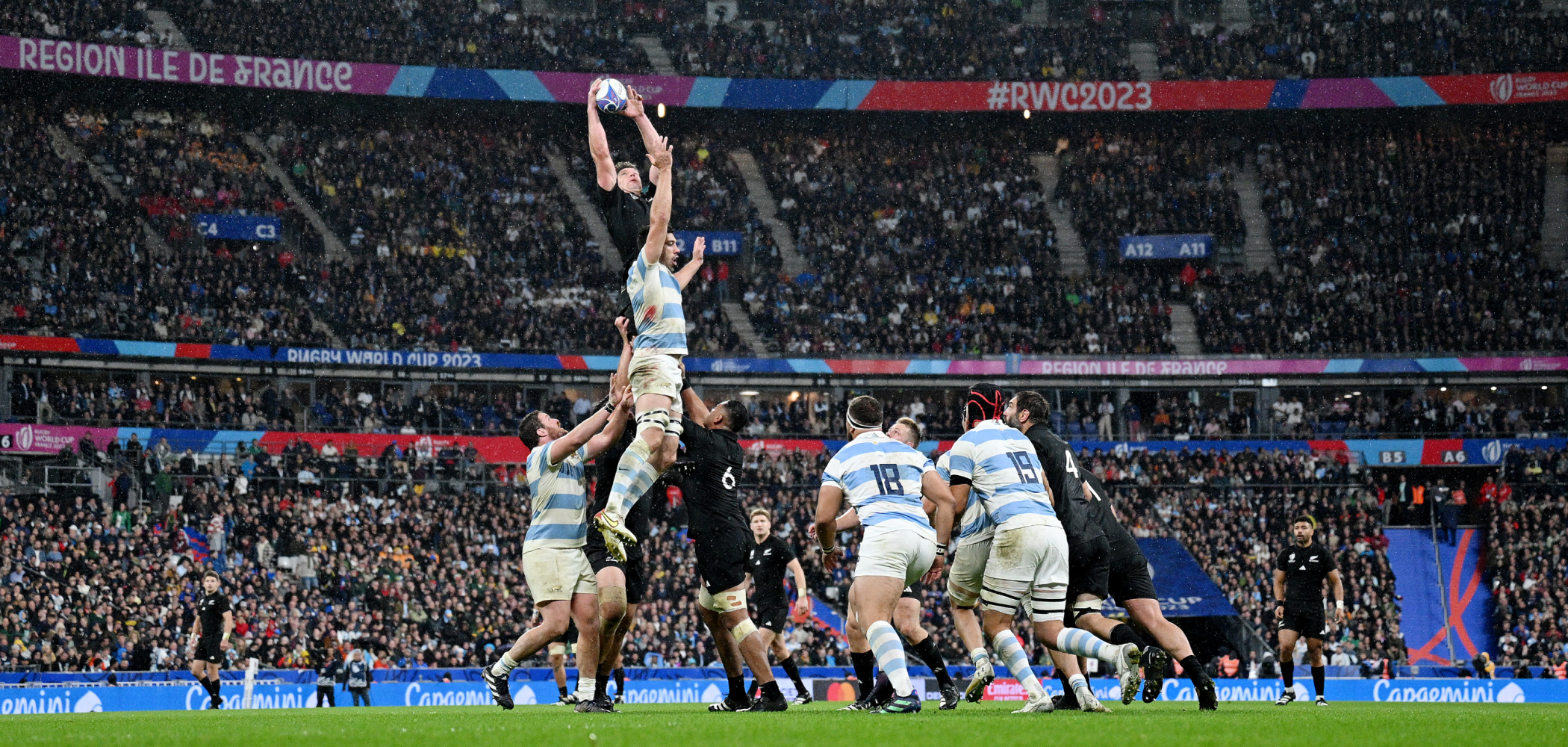Argentina v New Zealand  header image