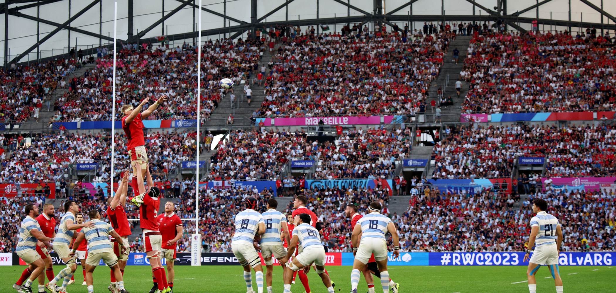 Wales v Argentina header image