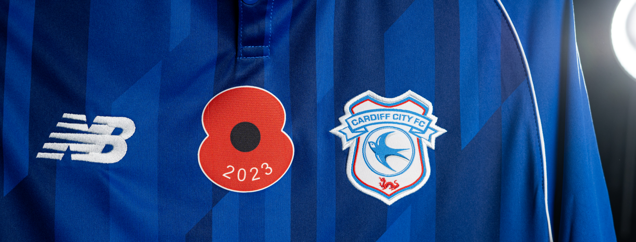 Cardiff City FC - Norwich City header image