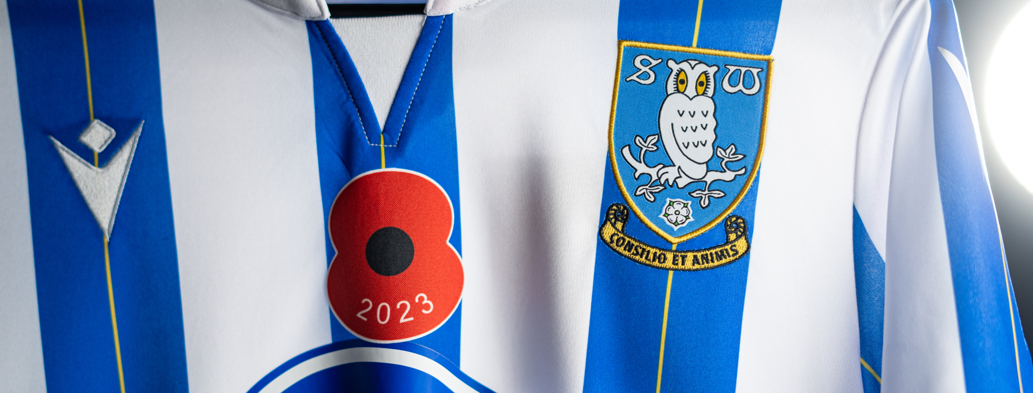 Sheffield Wednesday - Millwall header image