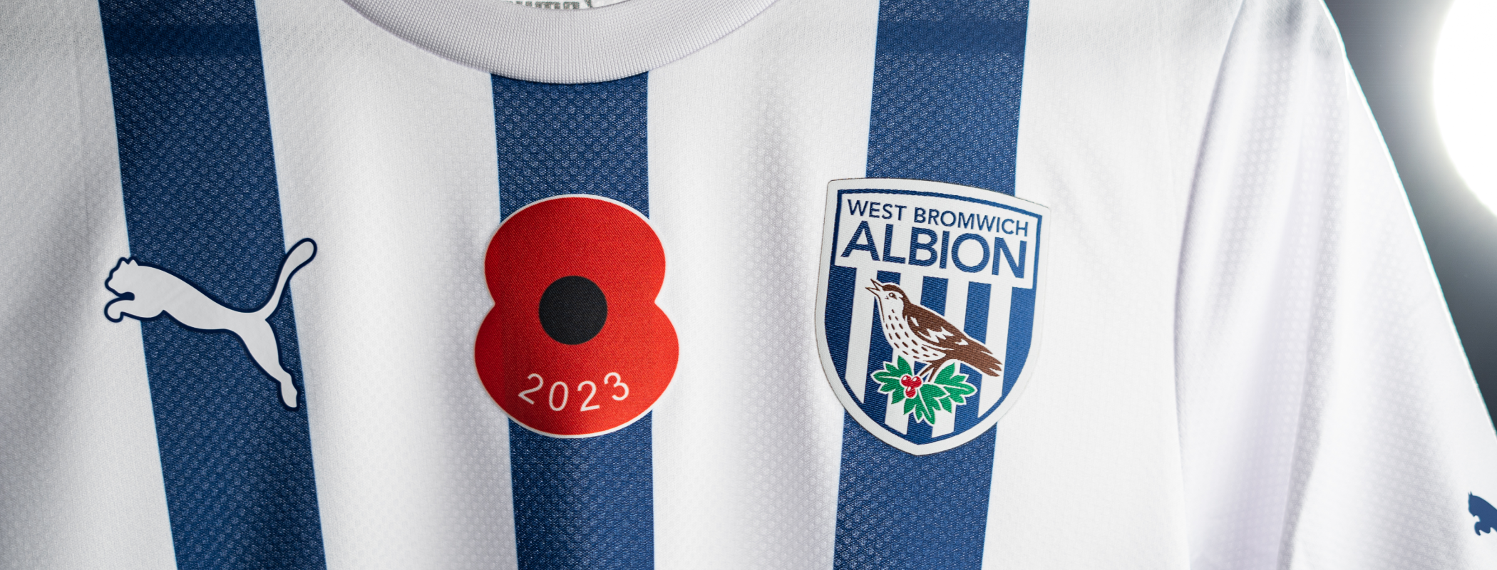 Southampton - West Bromwich Albion header image