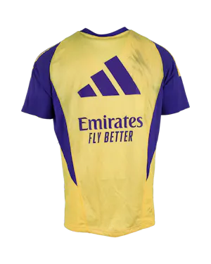 Thibaut Courtois | Training Top