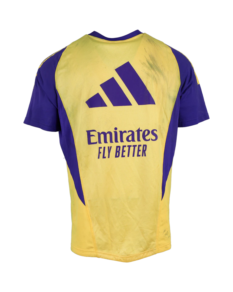 Thibaut Courtois | Training Top