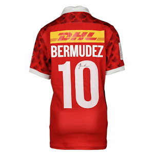 Fancy Bermudez