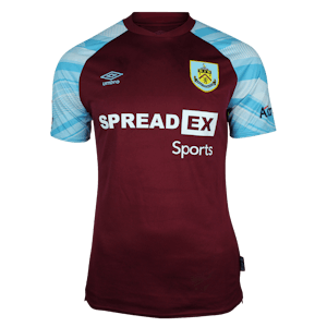 Camiseta Ashley Barnes Burnley