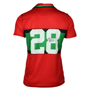 Bart van Rooij NEC shirt