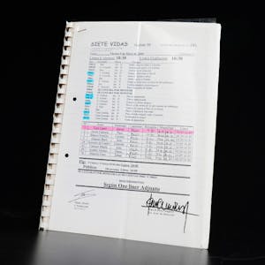 Original screenplay | Siete Vidas