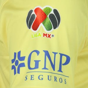 Diego Valdés Contreras