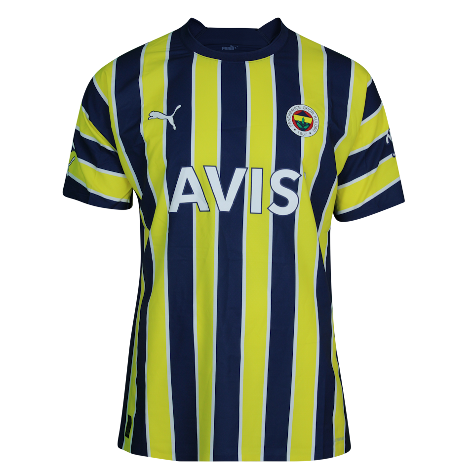 Mërgim Berisha Fenerbahçe forması