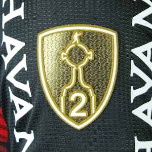 Pedro Flamengo shirt
