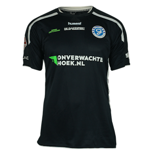 Rio Hillen De Graafschap forması
