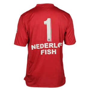 Ronald Koeman Jr Telstar shirt