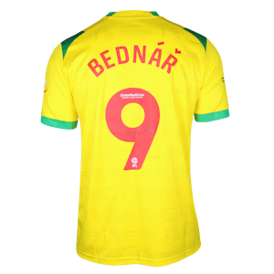 Roman Bednar