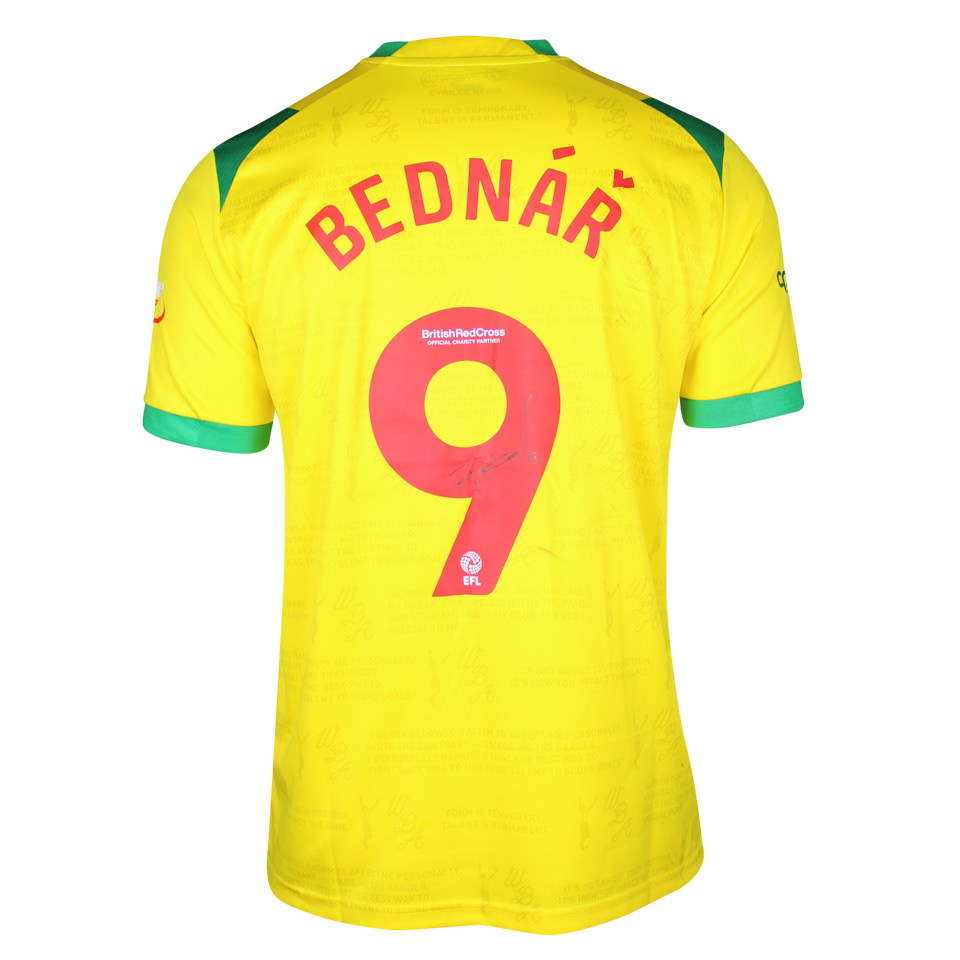 Roman Bednar