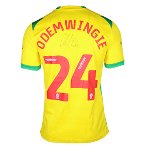 Peter Odemwingie