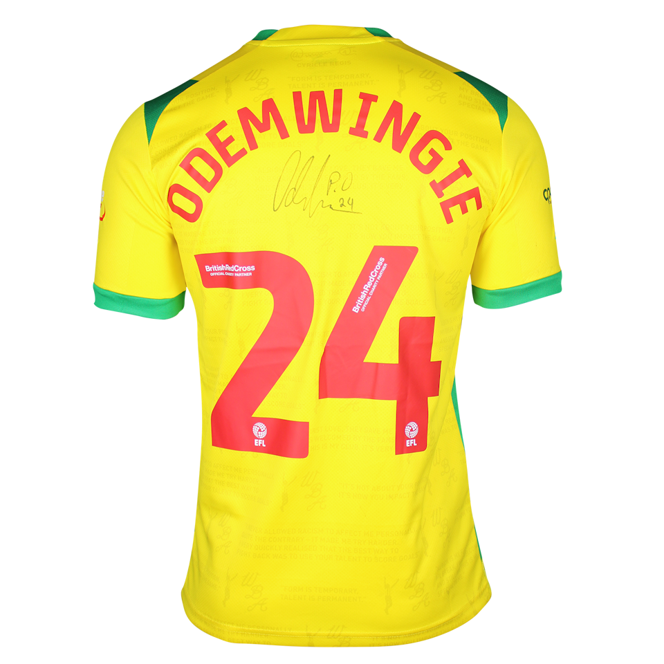 Peter Odemwingie