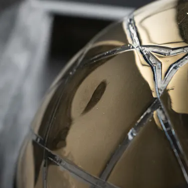 The Golden Ball Award