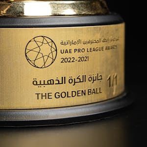 The Golden Ball Award