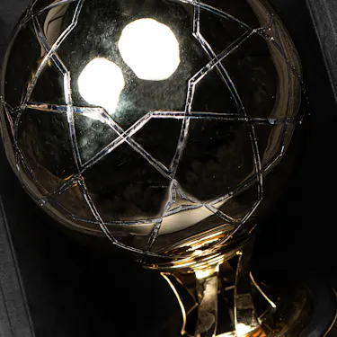 The Golden Ball Award