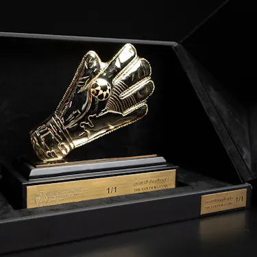 The Golden Glove Award