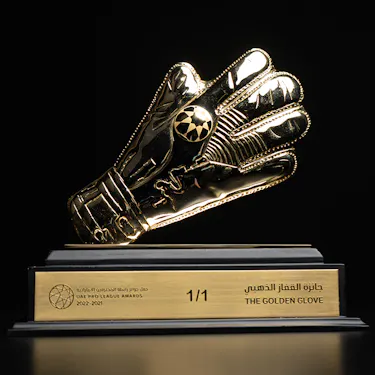 The Golden Glove Award