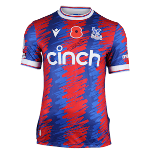 James Tomkins Crystal Palace shirt