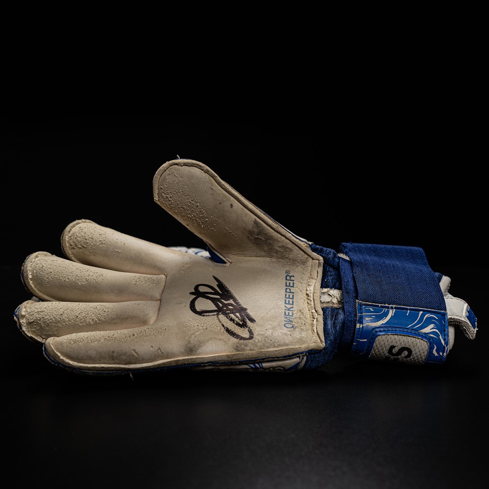 Robin Roefs - Goalkeeper Gloves