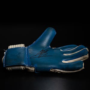 Mattijs Branderhorst - Goalkeeper Gloves