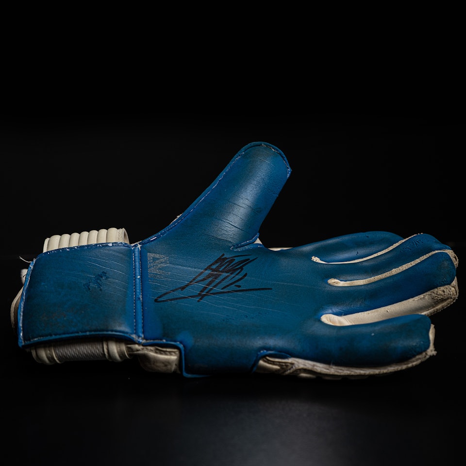 Mattijs Branderhorst - Goalkeeper Gloves