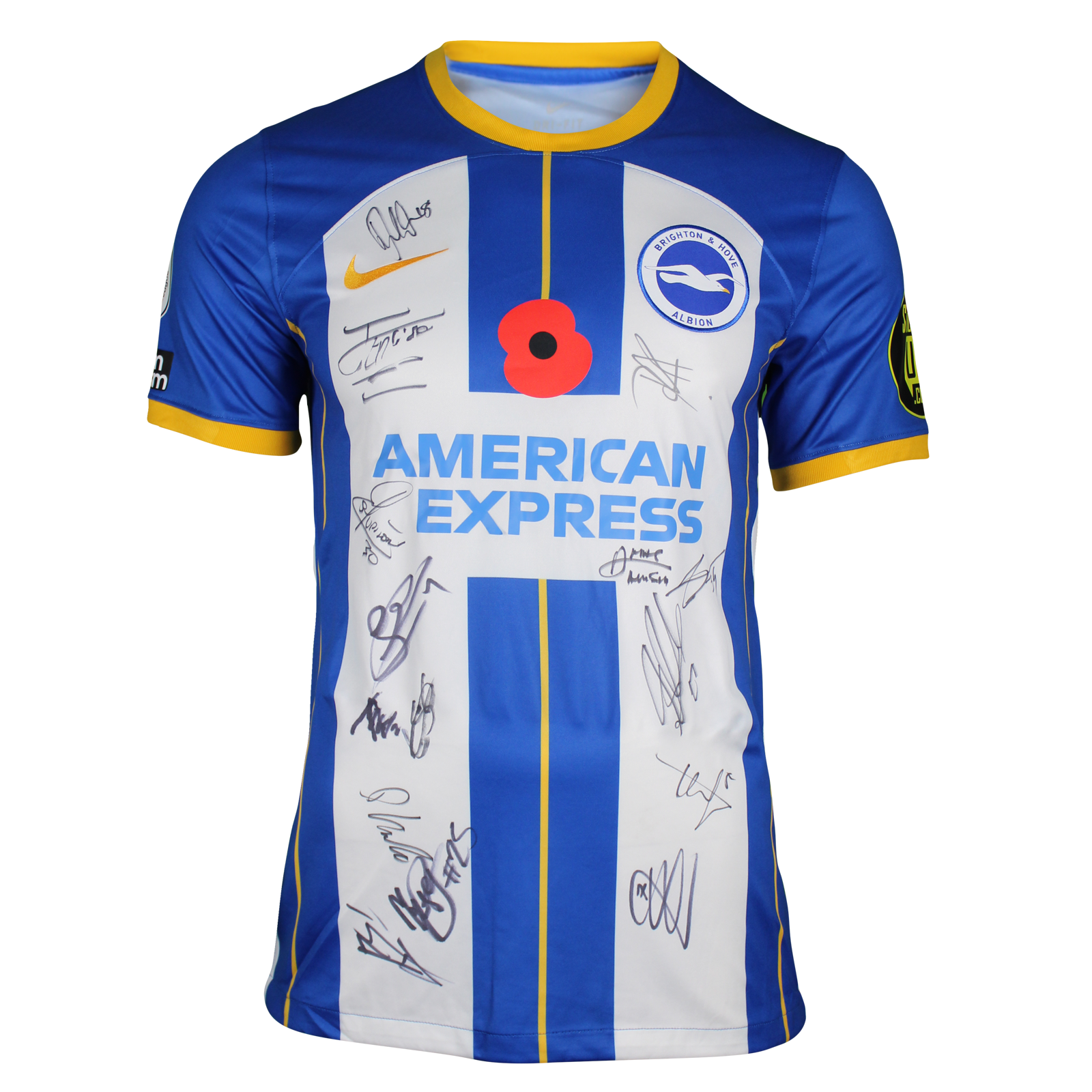 Brighton & Hove Albion WFC Football Shirts | MatchWornShirt