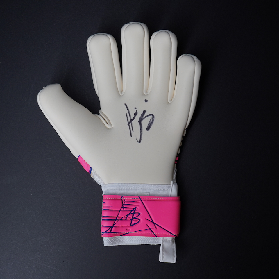 Asmir Begovic Gloves