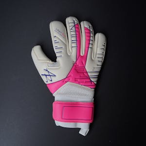 Asmir Begovic Gloves