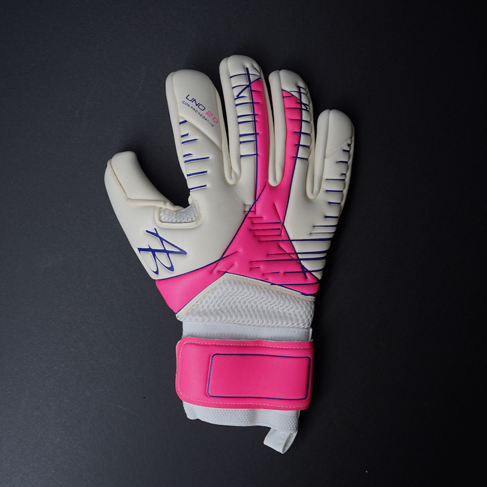 Asmir Begovic Gloves