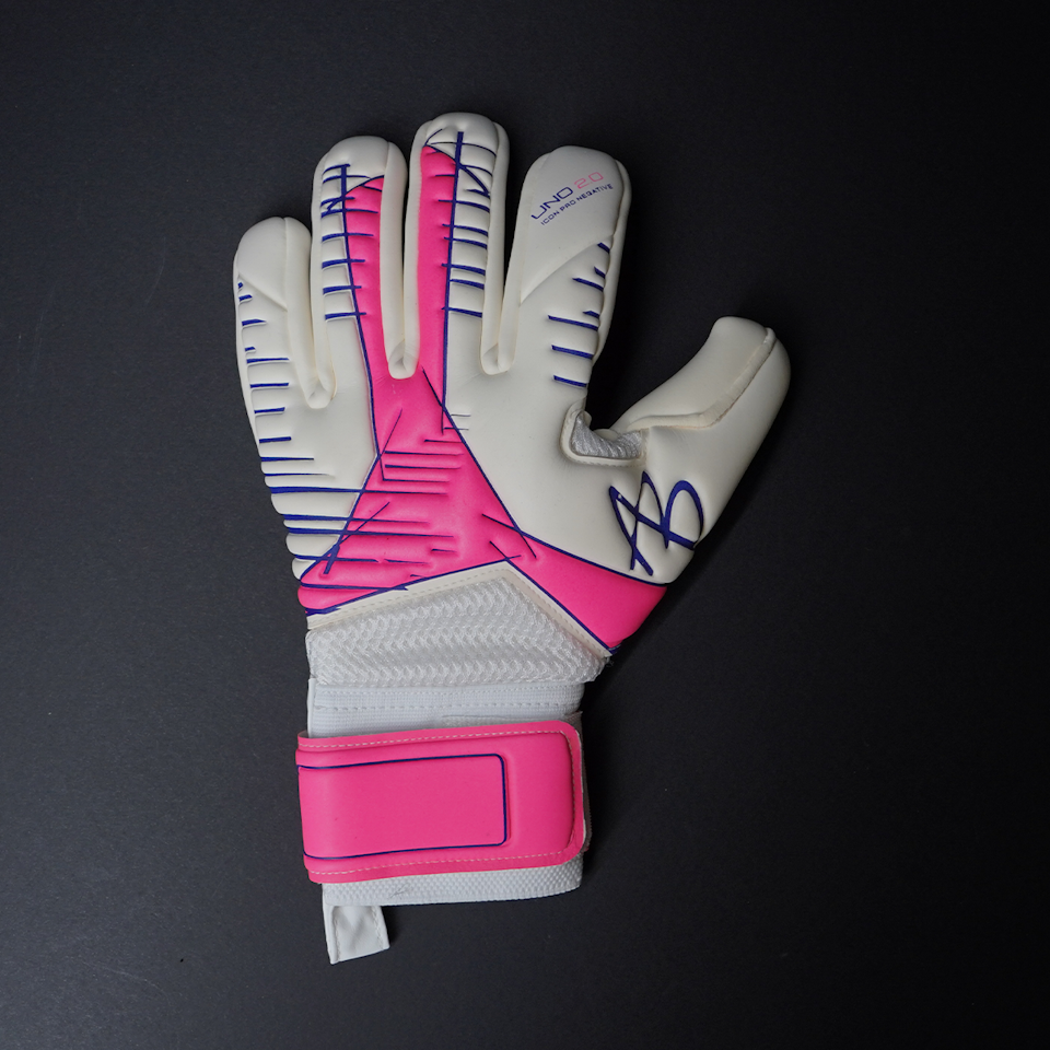 Asmir Begovic Gloves