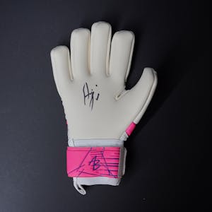 Asmir Begovic Gloves