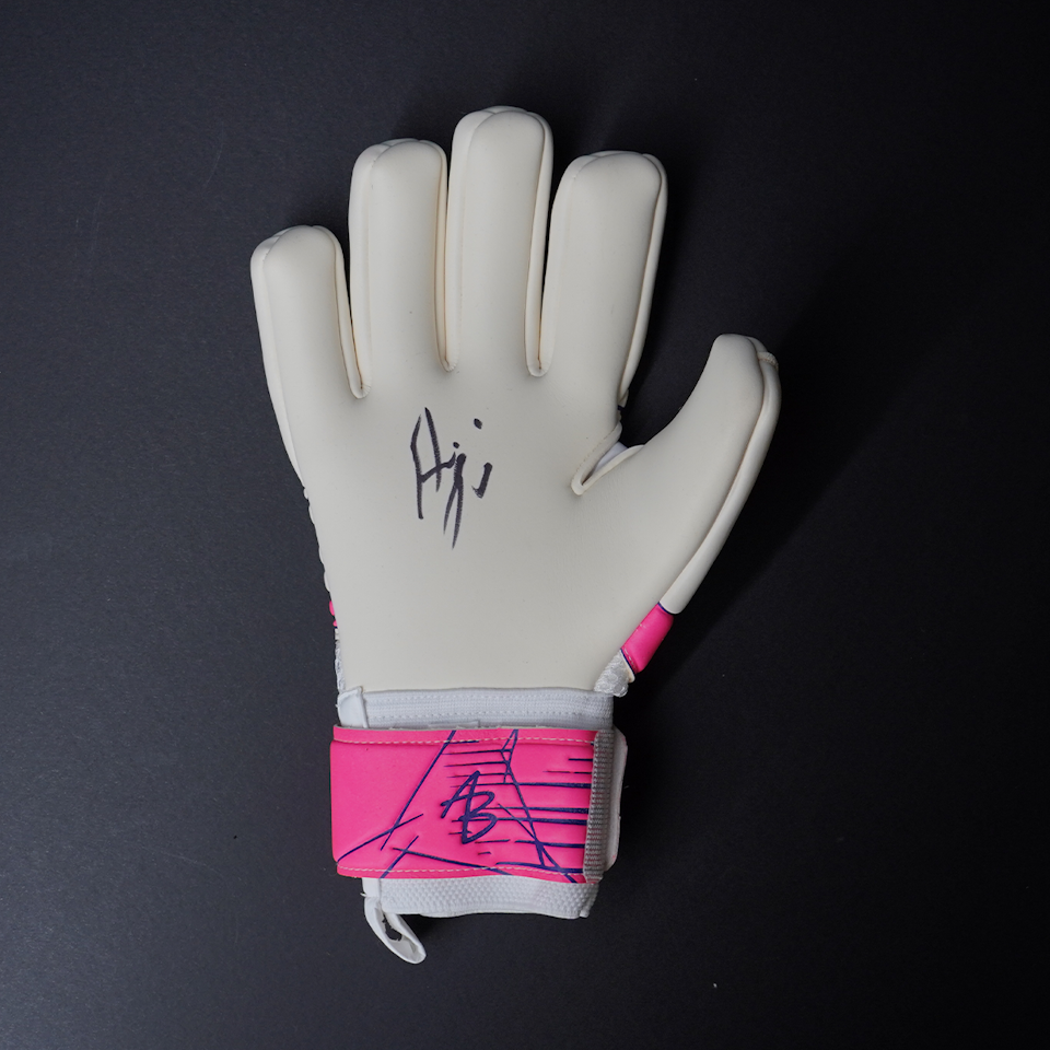 Asmir Begovic Gloves